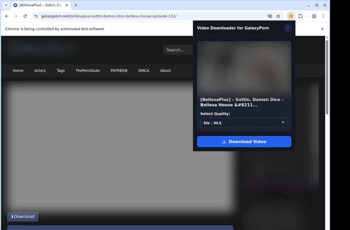 Galaxyporn Video Downloader browser extension screenshot 3